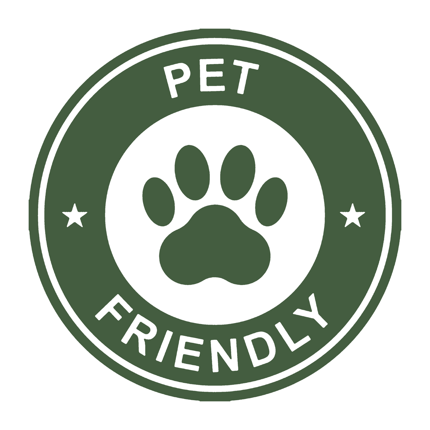 DesertScapeSucculent Cactus 6 Inch Echinopsis subdenudatum 'Domino Cactus'