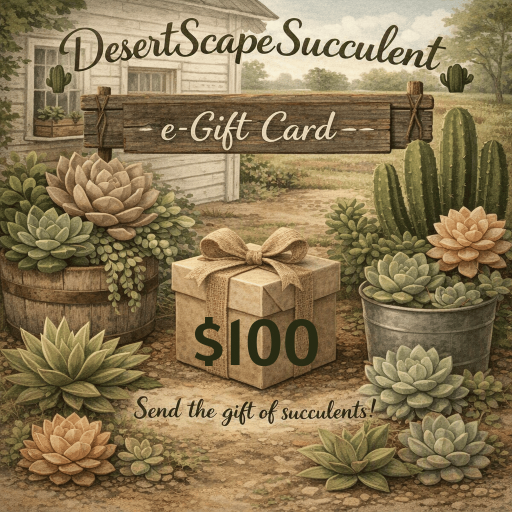 DesertScapeSucculent GiftCard $100 DesertScapeSucculent E-Gift Card
