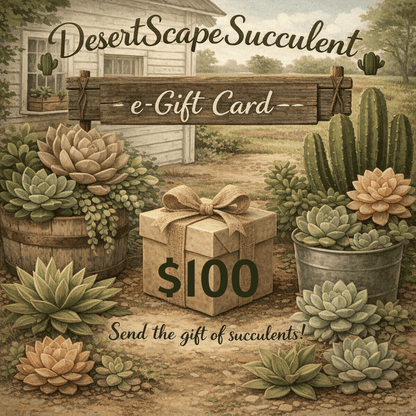 DesertScapeSucculent GiftCard $100 DesertScapeSucculent E-Gift Card