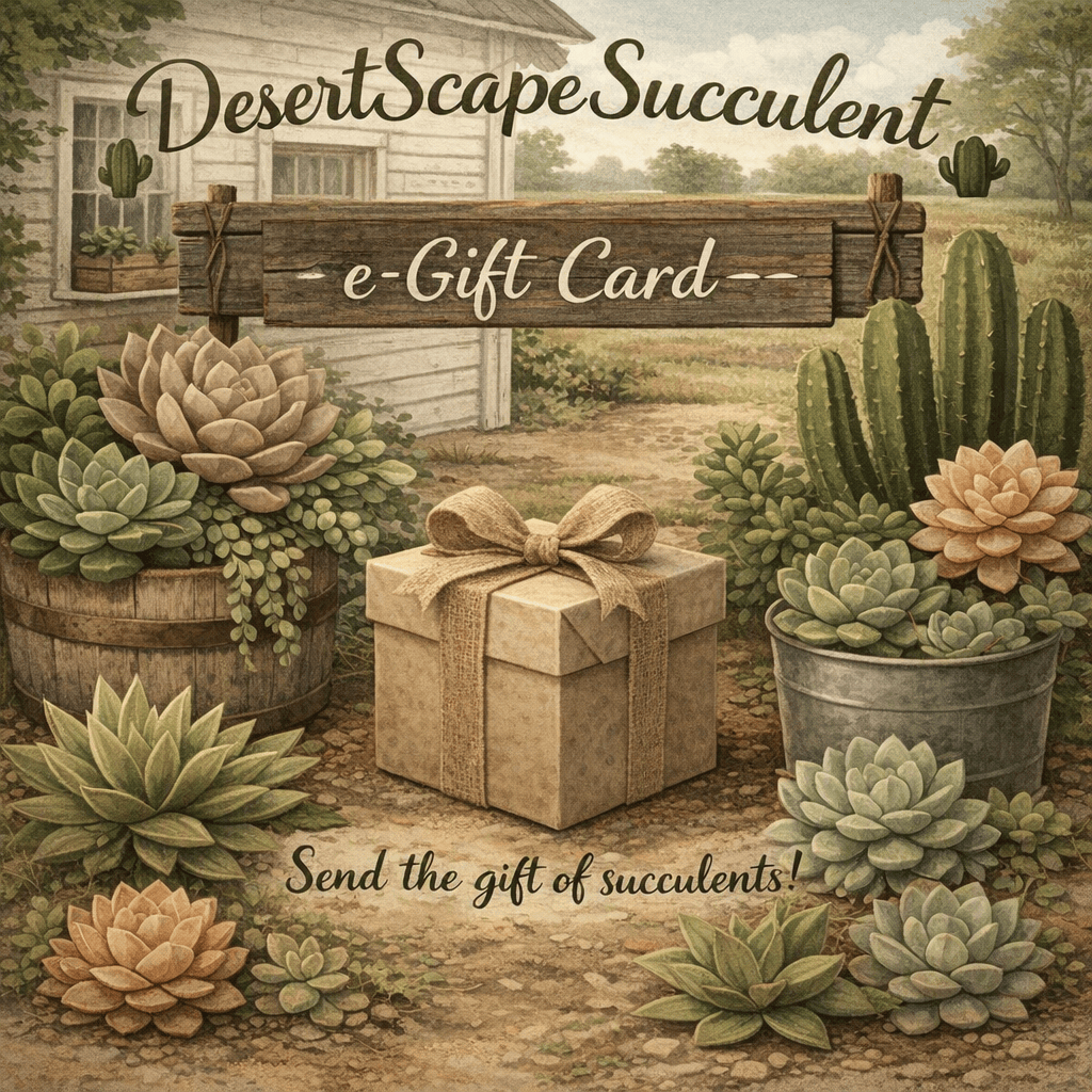 DesertScapeSucculent GiftCard DesertScapeSucculent E-Gift Card