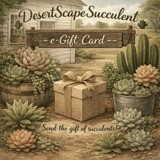DesertScapeSucculent GiftCard DesertScapeSucculent E-Gift Card