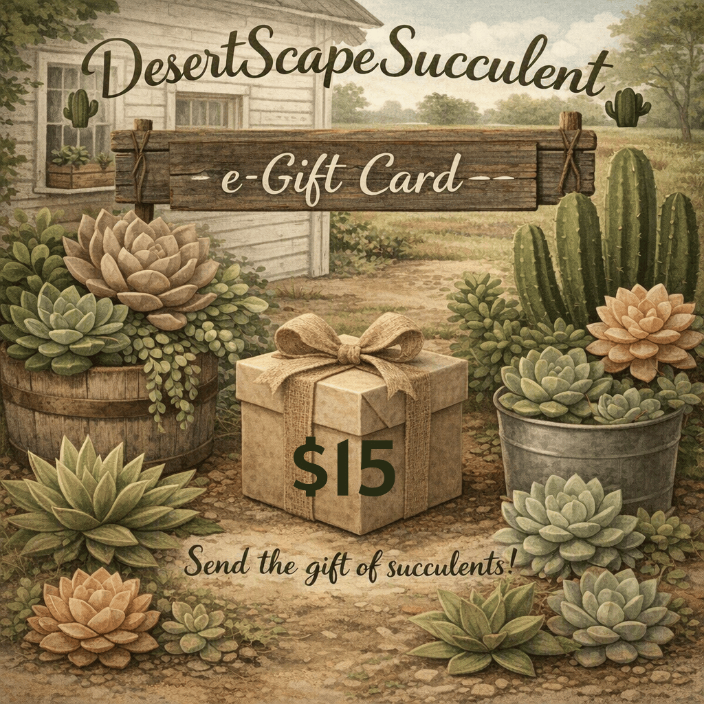 DesertScapeSucculent GiftCard $15 DesertScapeSucculent E-Gift Card