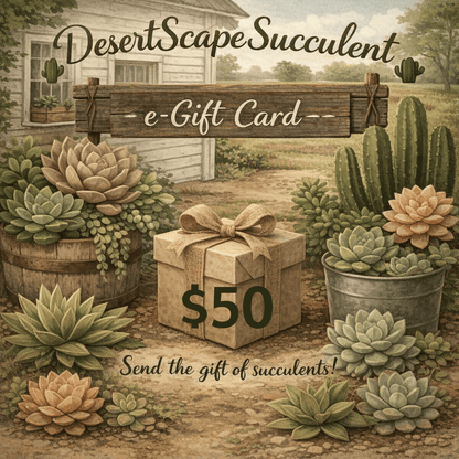 DesertScapeSucculent GiftCard $50 DesertScapeSucculent E-Gift Card