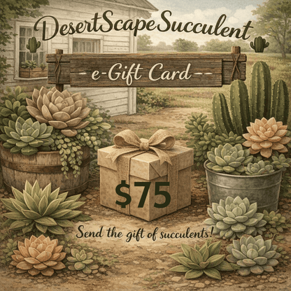 DesertScapeSucculent GiftCard $75 DesertScapeSucculent E-Gift Card