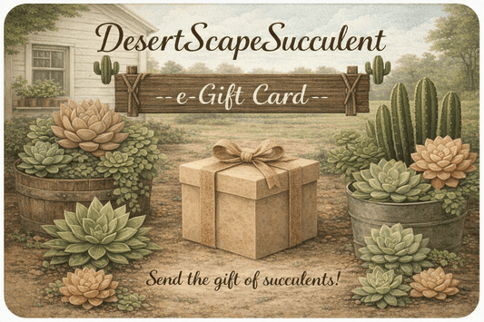 DesertScapeSucculent GiftCard E-Gift Card