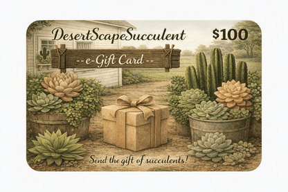DesertScapeSucculent GiftCard E-Gift Card