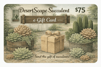 DesertScapeSucculent GiftCard E-Gift Card