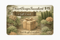 DesertScapeSucculent GiftCard E-Gift Card