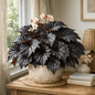 DesertScapeSucculent House Plant 4 Inch Begonia 'Black Magic'