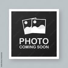 DesertScapeSucculent House Plant 4 Inch Assorted Fern ‘Kimberley Queen’